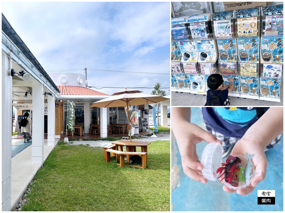 沖繩中北部一日遊行程-萬座毛、古宇利島、美麗海水族館看海豚秀 - 老皮嫩肉的流水帳生活