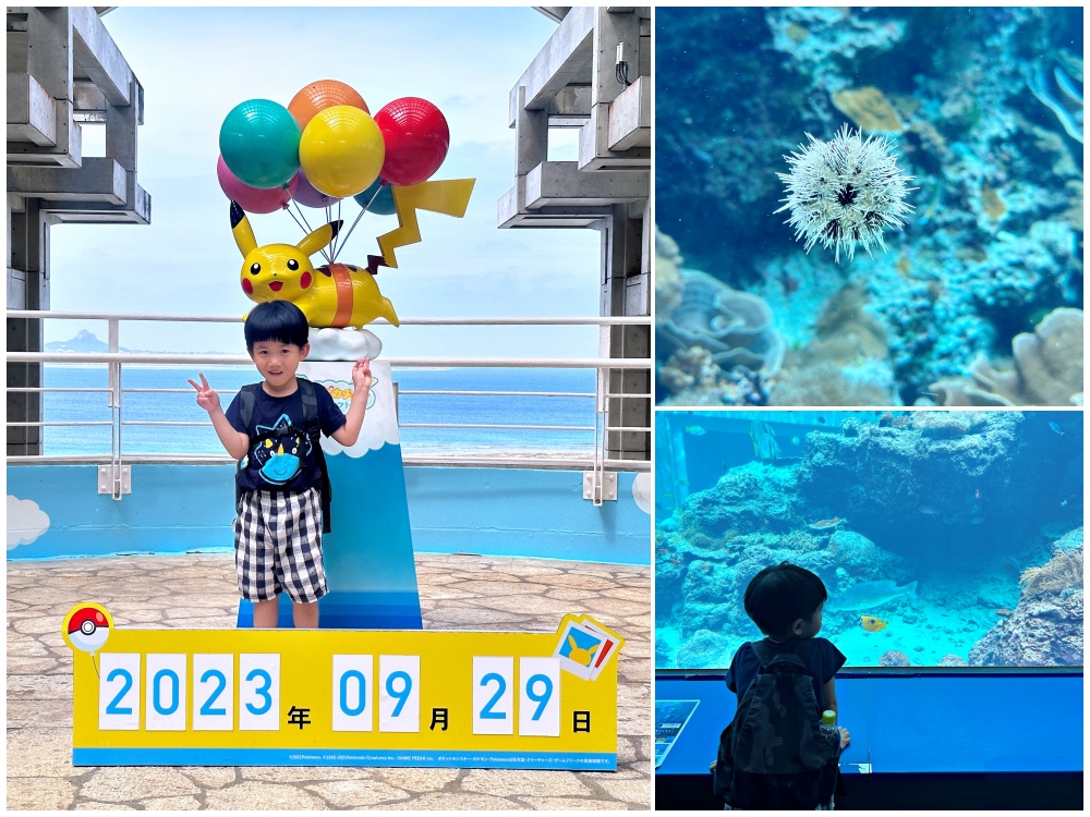 沖繩中北部一日遊行程-萬座毛、古宇利島、美麗海水族館看海豚秀 - 老皮嫩肉的流水帳生活