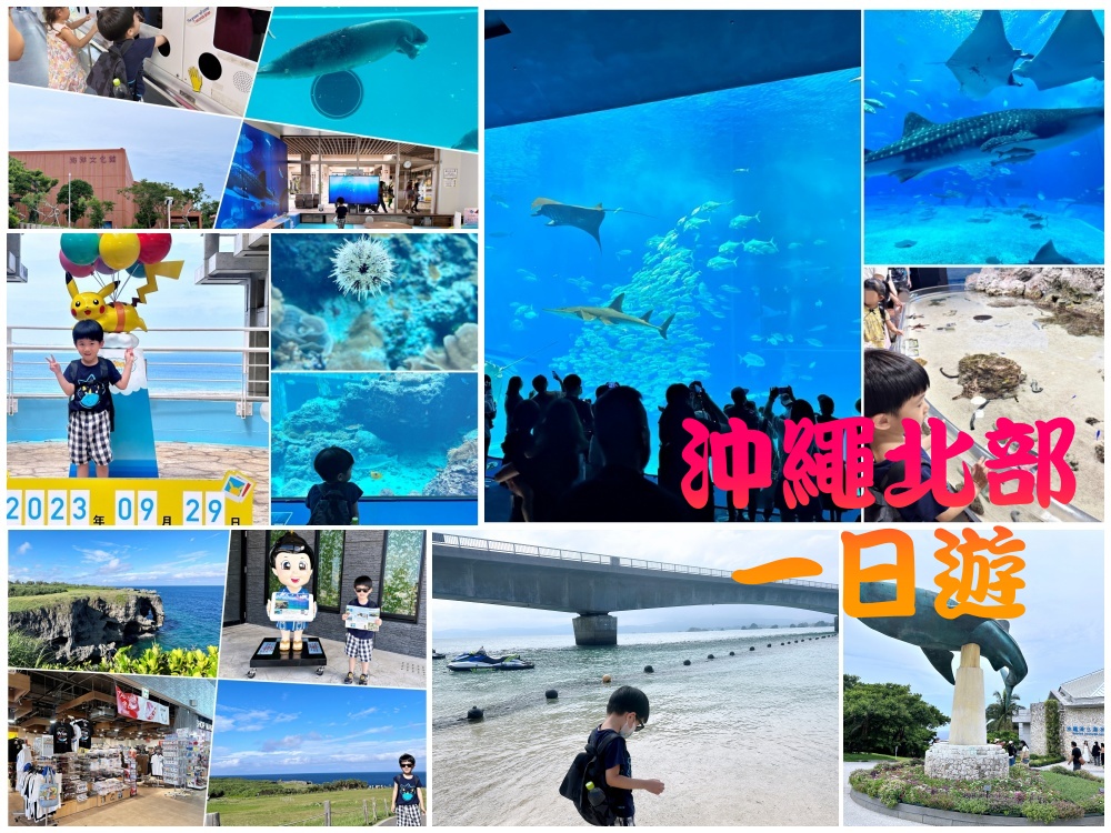 沖繩中北部一日遊行程-萬座毛、古宇利島、美麗海水族館看海豚秀 - 老皮嫩肉的流水帳生活