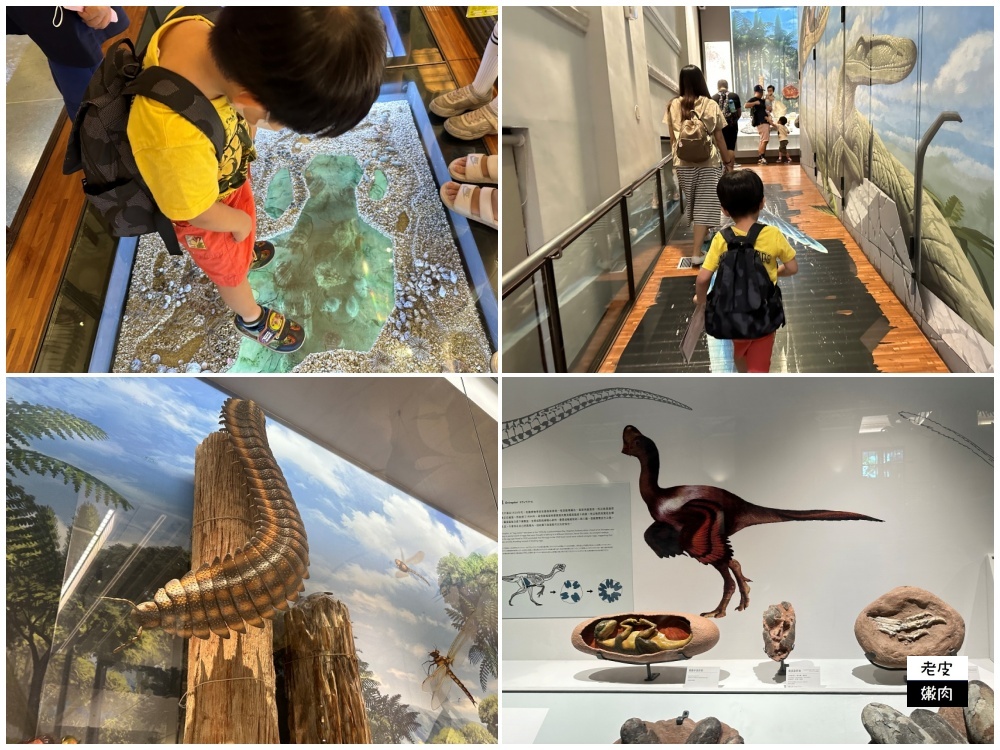 台北室內親子館-臺灣博物館古生物館|巨型恐龍加上超吸睛神秘金庫 - 老皮嫩肉的流水帳生活