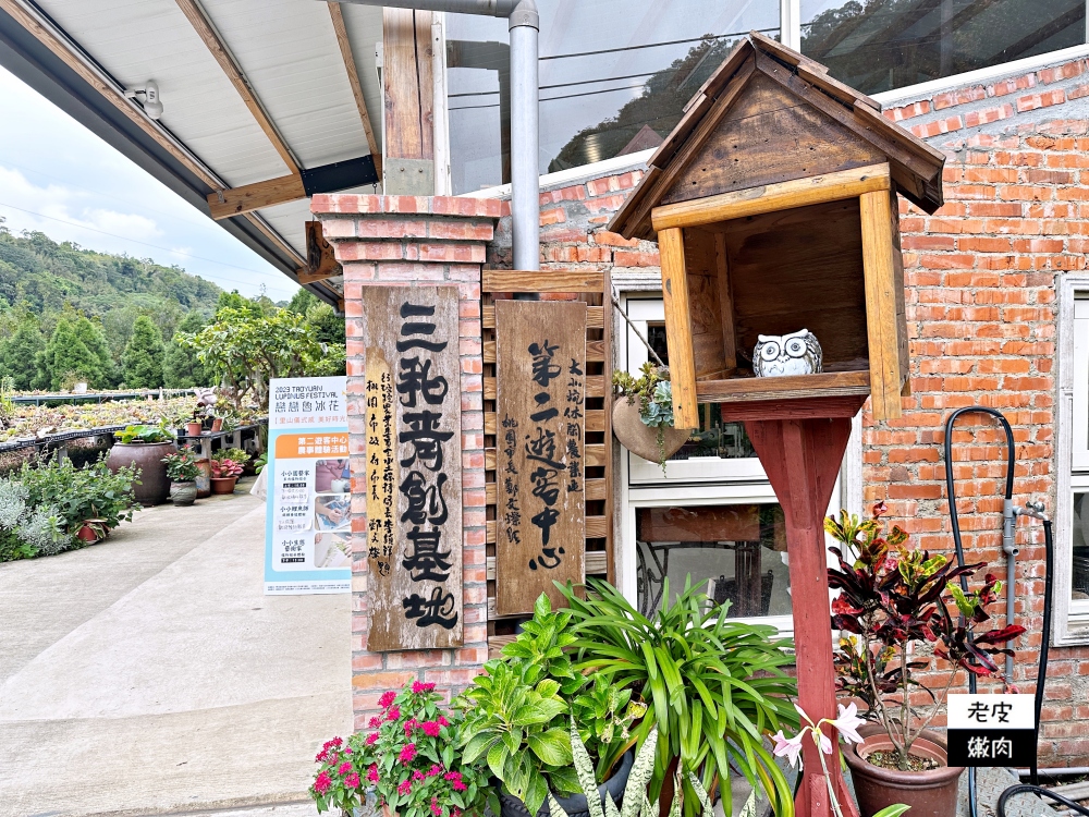 桃園免費景點推薦-繞山花 |龍潭多肉植物體驗 三和青創基地 - 老皮嫩肉的流水帳生活