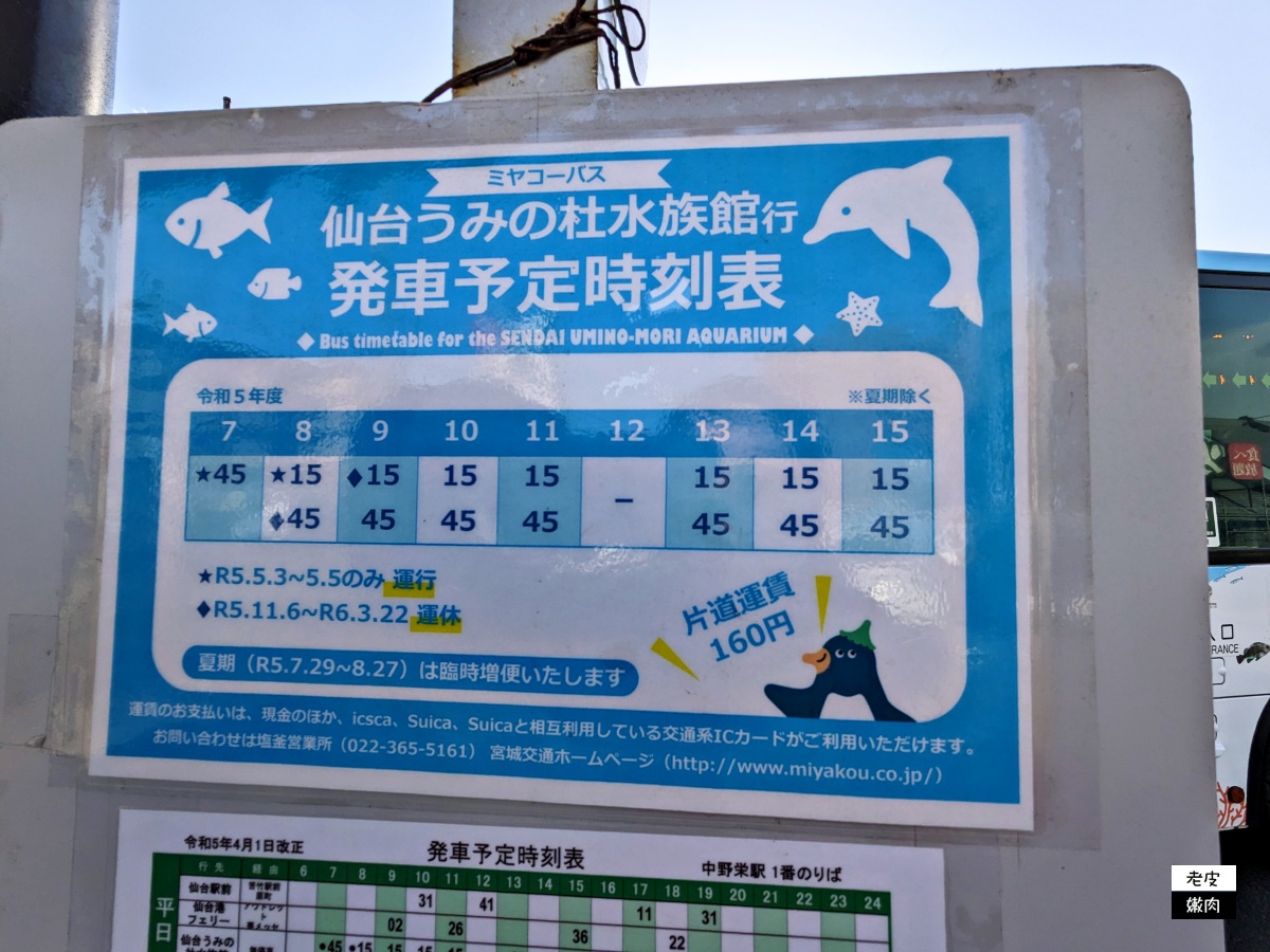 仙台親子室內景點【仙台海洋森林水族館】門票 接駁車資訊 - 老皮嫩肉的流水帳生活