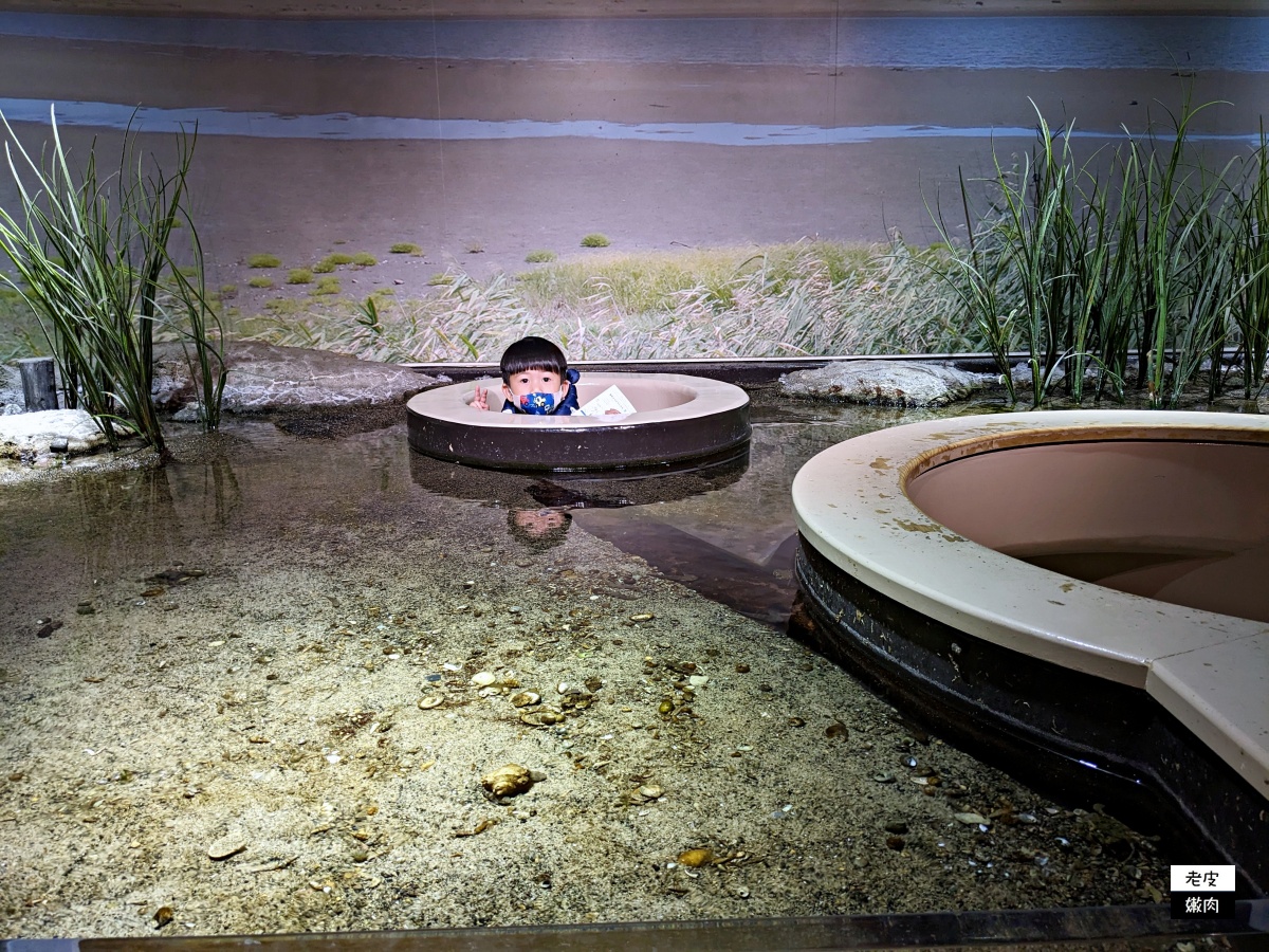 仙台親子室內景點【仙台海洋森林水族館】門票 接駁車資訊 - 老皮嫩肉的流水帳生活