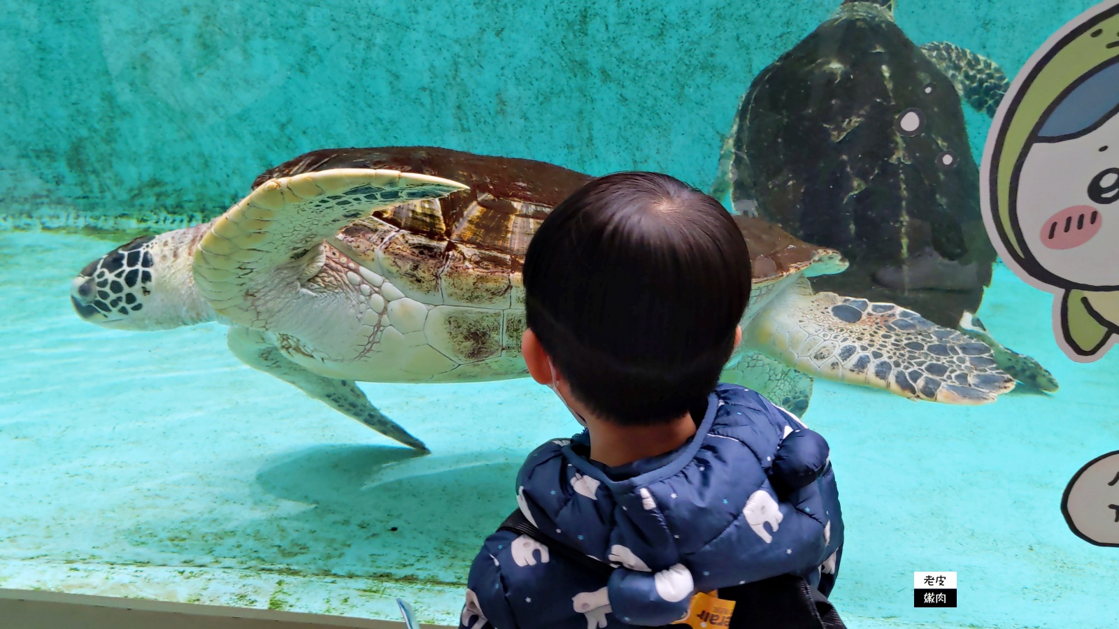 仙台親子室內景點【仙台海洋森林水族館】門票 接駁車資訊 - 老皮嫩肉的流水帳生活