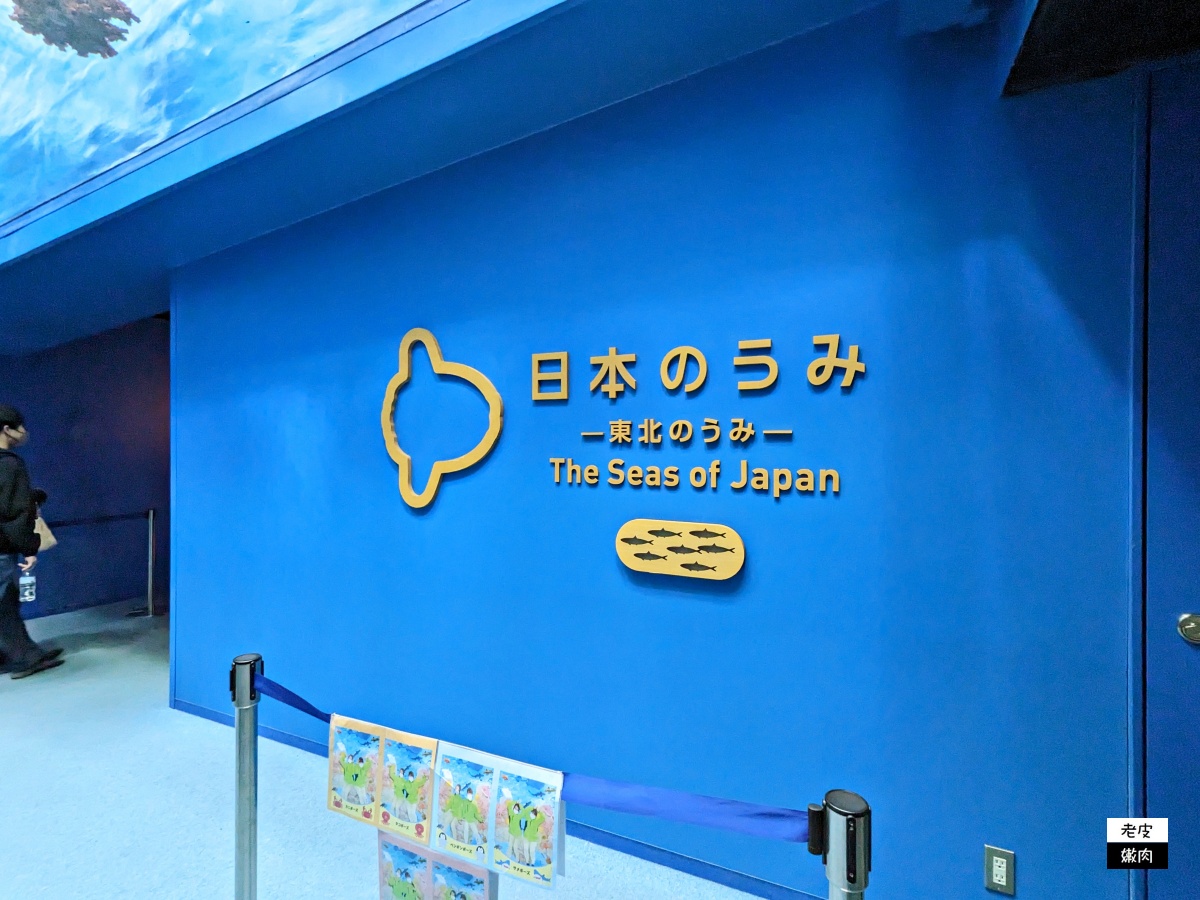 仙台親子室內景點【仙台海洋森林水族館】門票 接駁車資訊 - 老皮嫩肉的流水帳生活