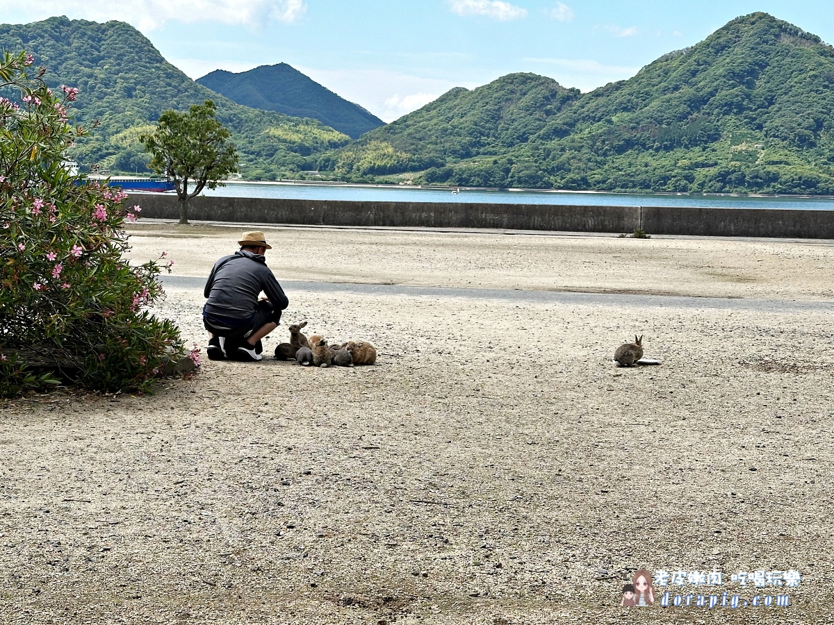 廣島親子景點 瀨戶內海景點 大久野島 廣島兔子島 毒氣工廠 