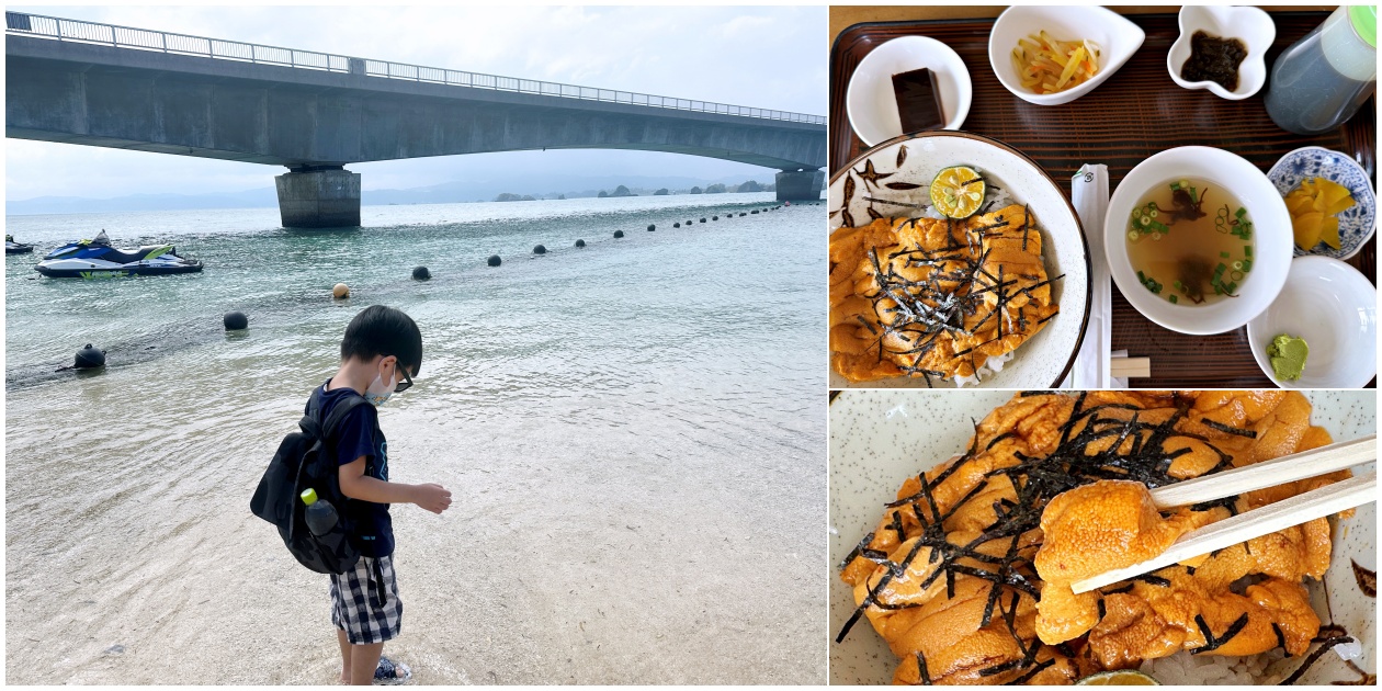 古宇利島美食【しらさ食堂】海膽蓋飯 飯都吃完了海膽還在 - 老皮嫩肉的流水帳生活